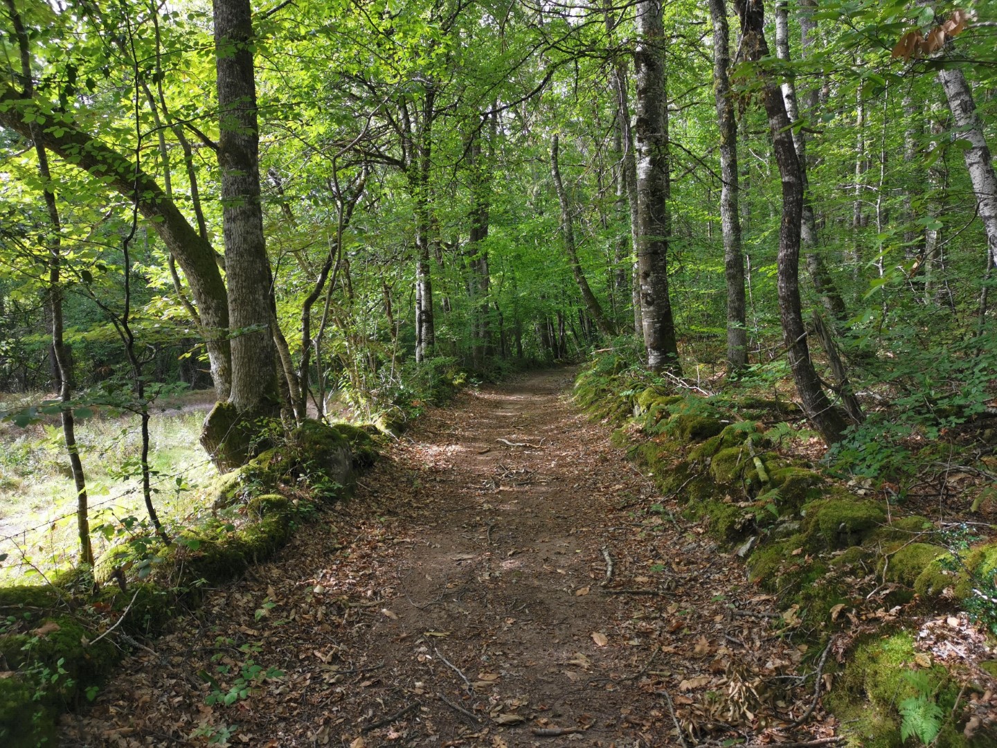 Circuit Pédestre N°19 CC : "Chamberaud et les Combes", Chamberaud - photo 7