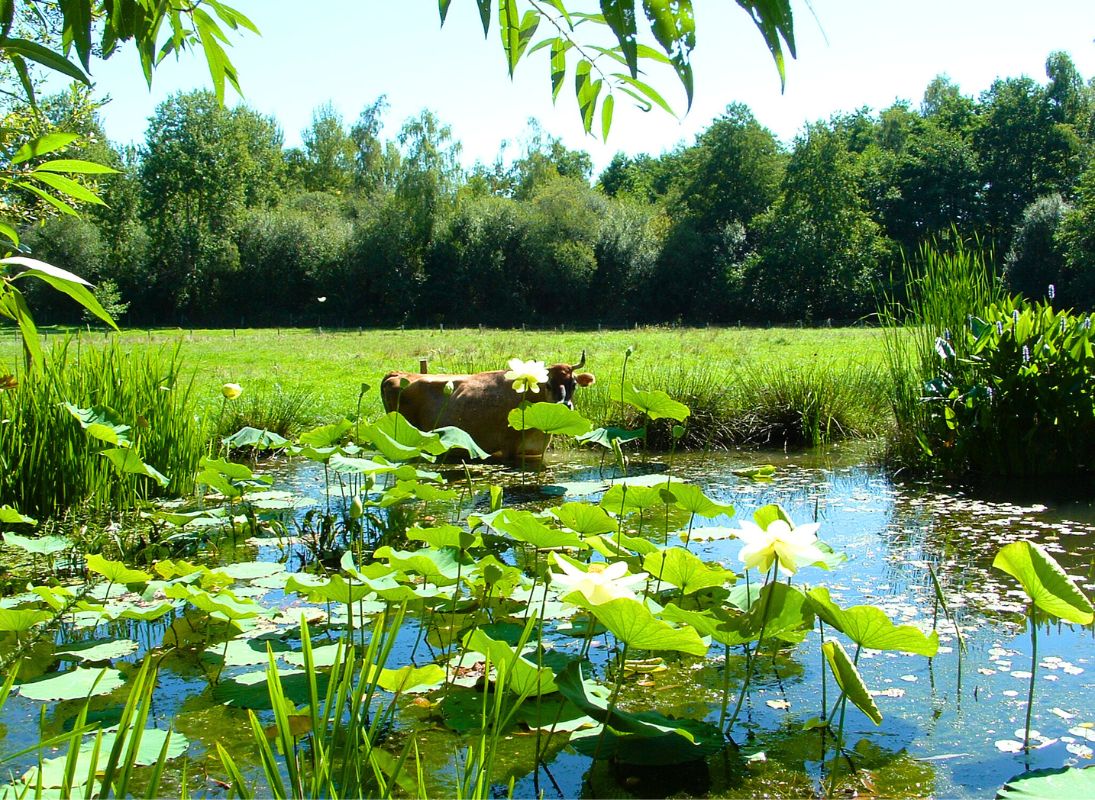 Camping à la ferme de la Noyeraie, Saint-Hilaire-les-Places