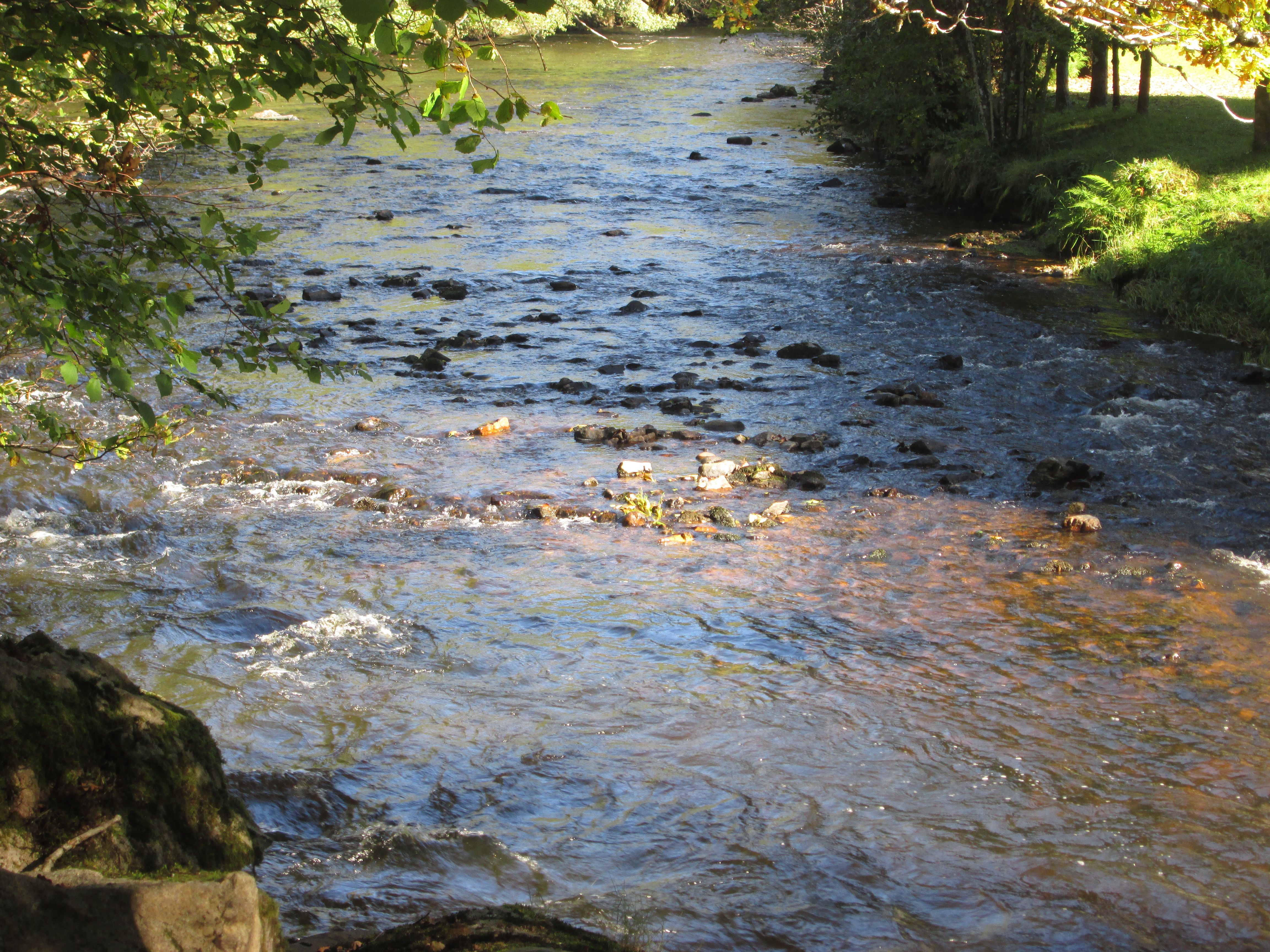 VTT - Gravel - De Feyt à Monestier - 17 km - circuit 62, Merlines - photo 2