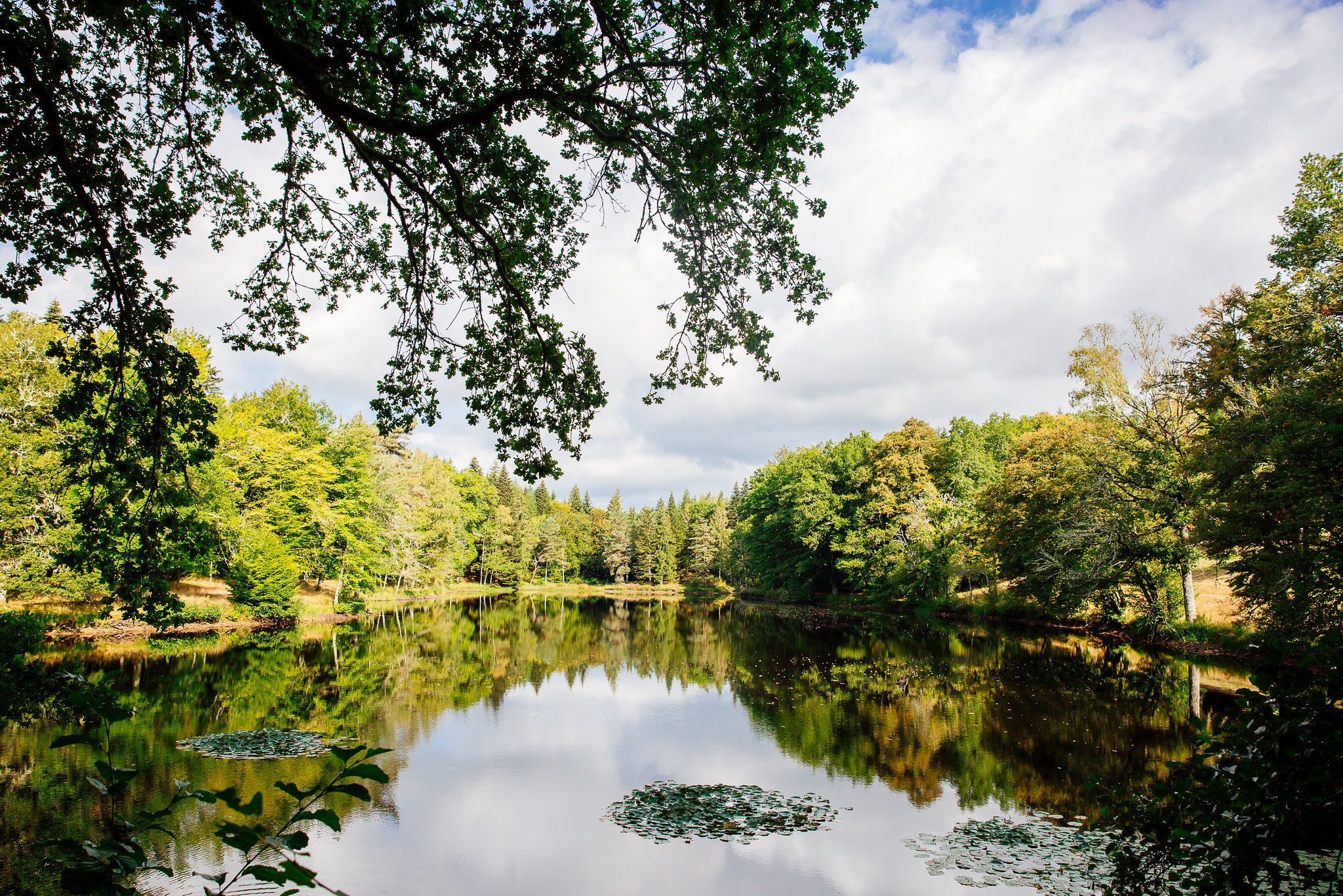 Circuit n°7 - Chemins des 3 Corrèzes - photo 2
