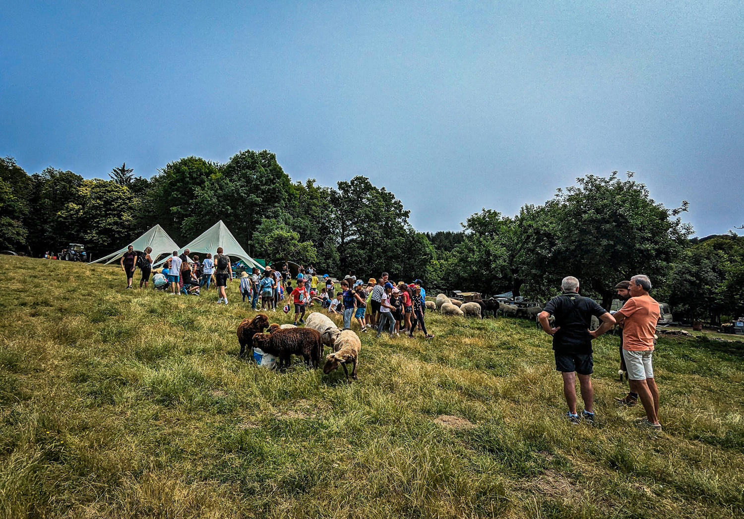 La ferme de Maillofargueix – La biodiversité par l’éco pâturage, Bersac-sur-Rivalier - photo 2