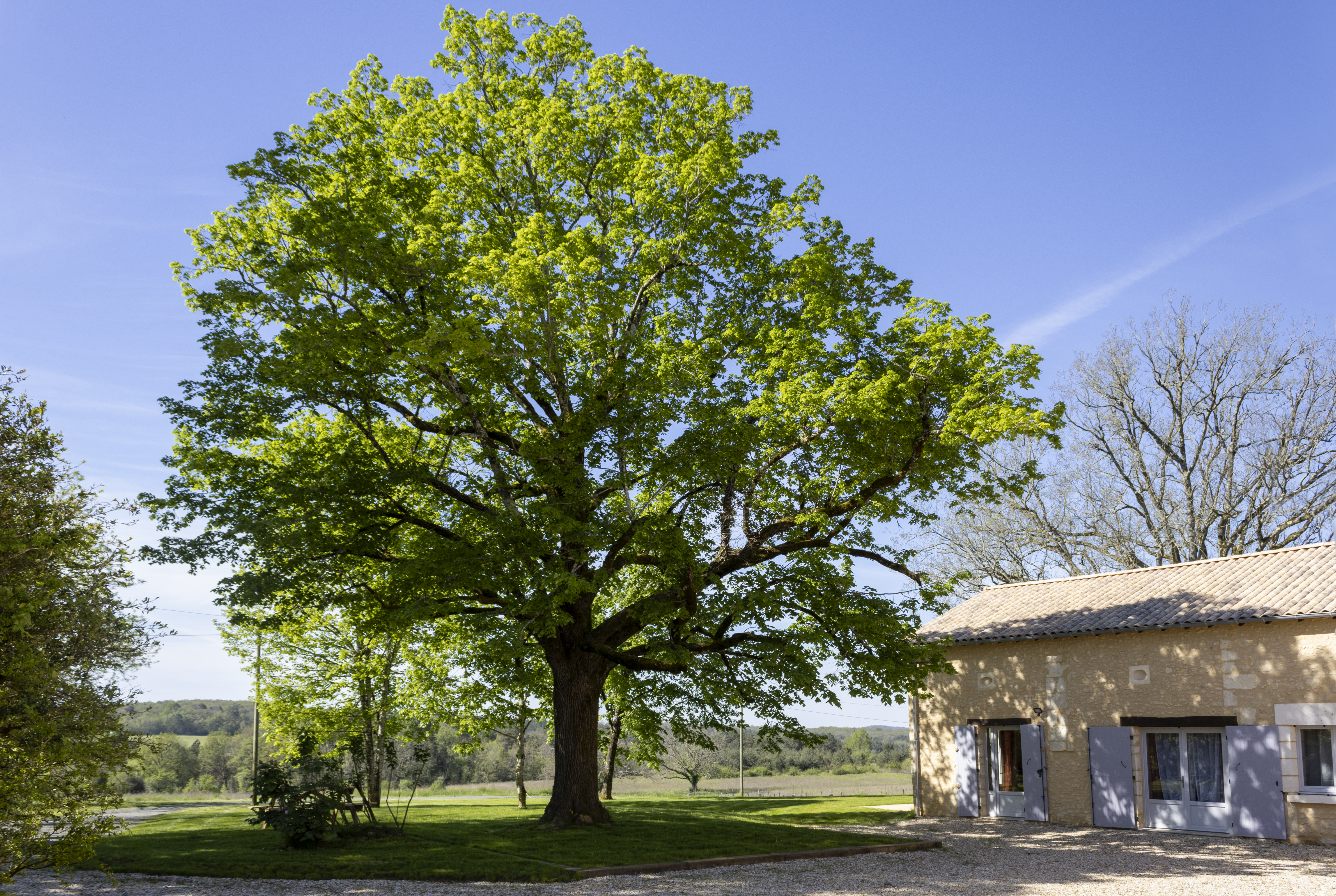 Gites des Tilleuls - Mésange - photo 5