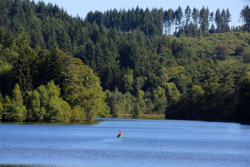 Promenons-nous sur le sentier de l'étang