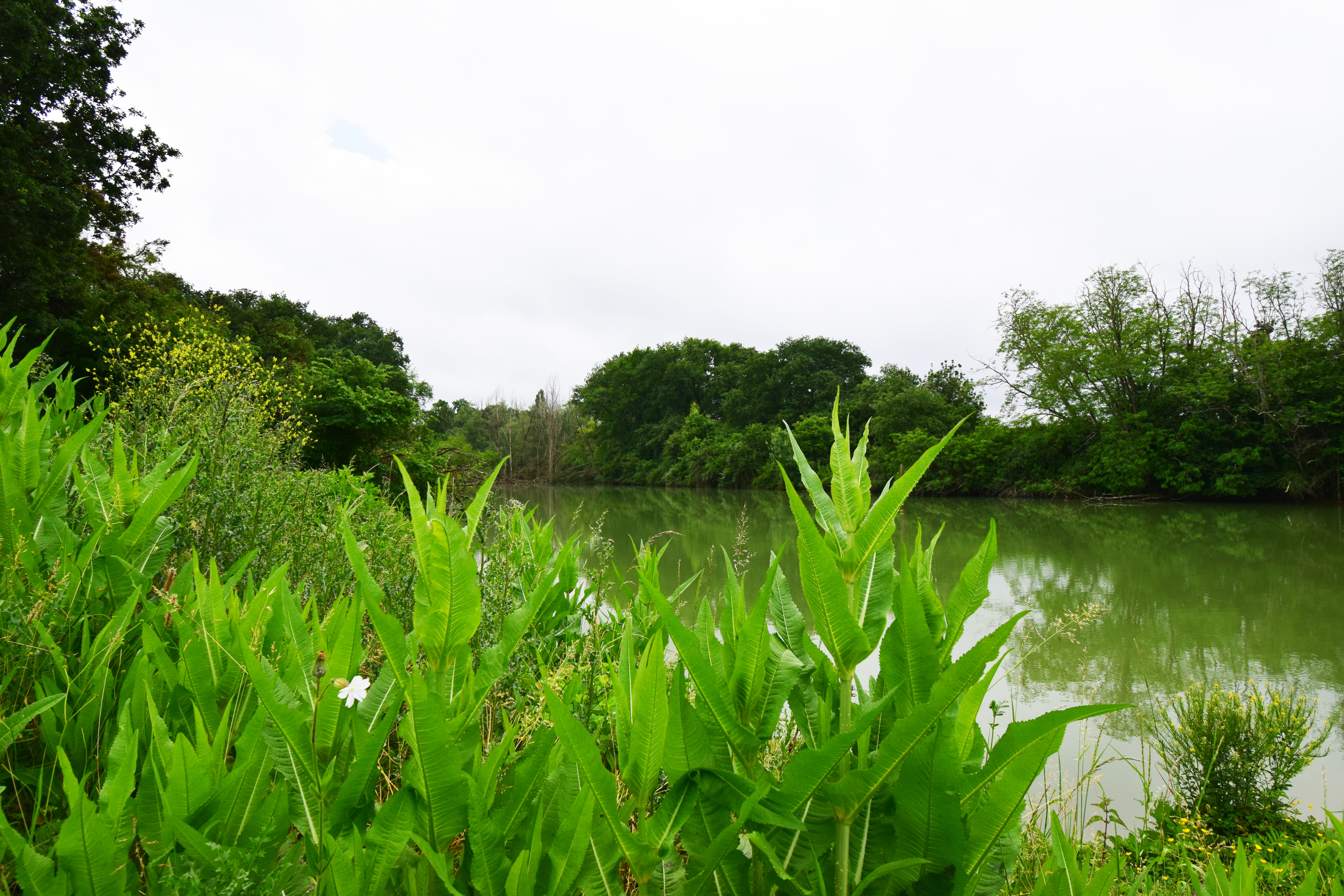 Gîte de Jean- Sandra, Lannes - photo 8
