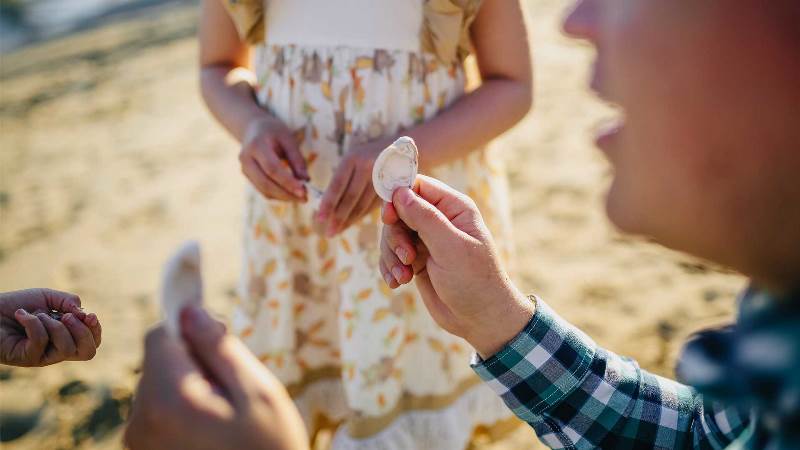 Observer les coquillages