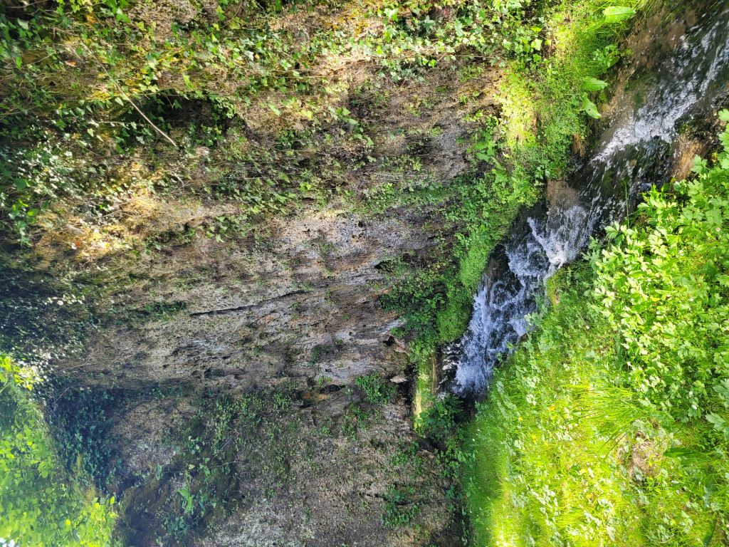 Site de l'église - expositions Sourzac, Sourzac - photo 20