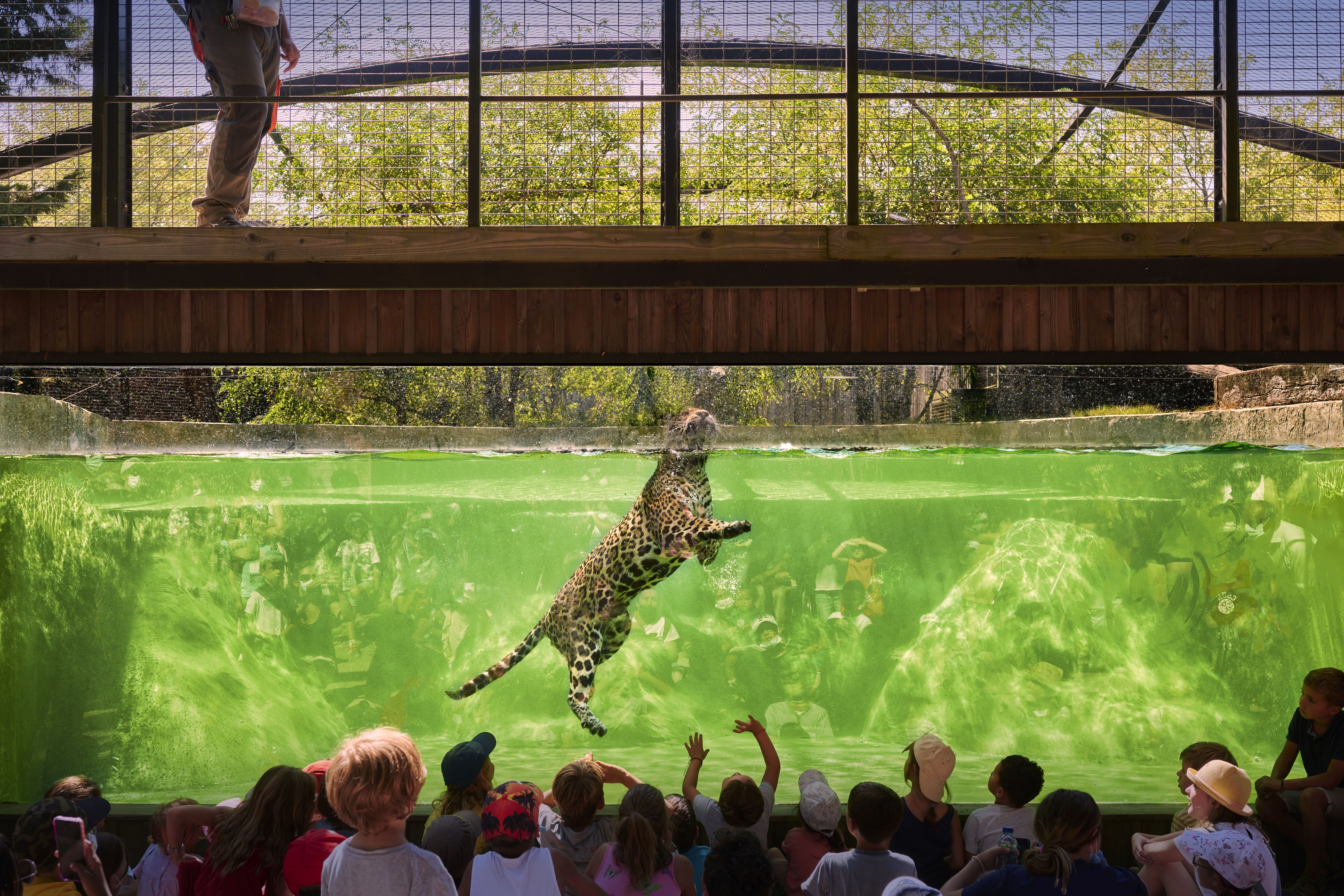Zoo de Bordeaux-Pessac