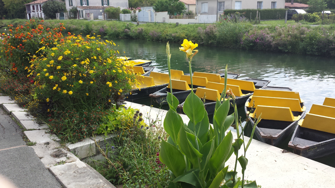 Embarcadère "La Pigouille", Coulon - photo 8