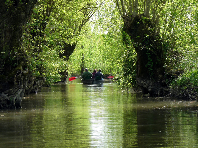 Embarcadère "Au Martin Pêcheur", Arçais - photo 6