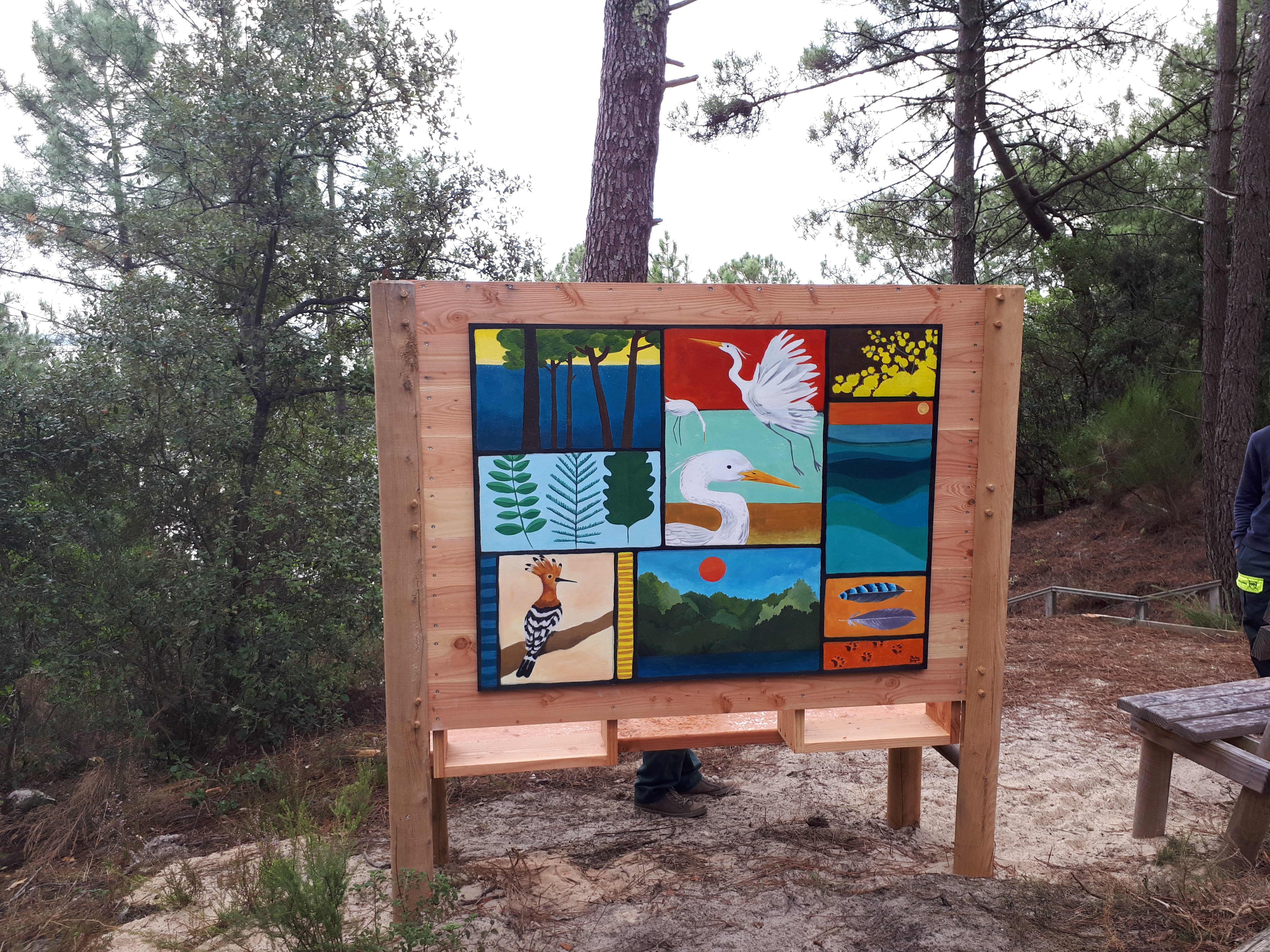 Le sentier du Lac à Maubuisson - photo 2