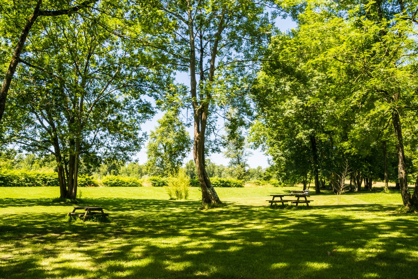 Aire de pique-nique