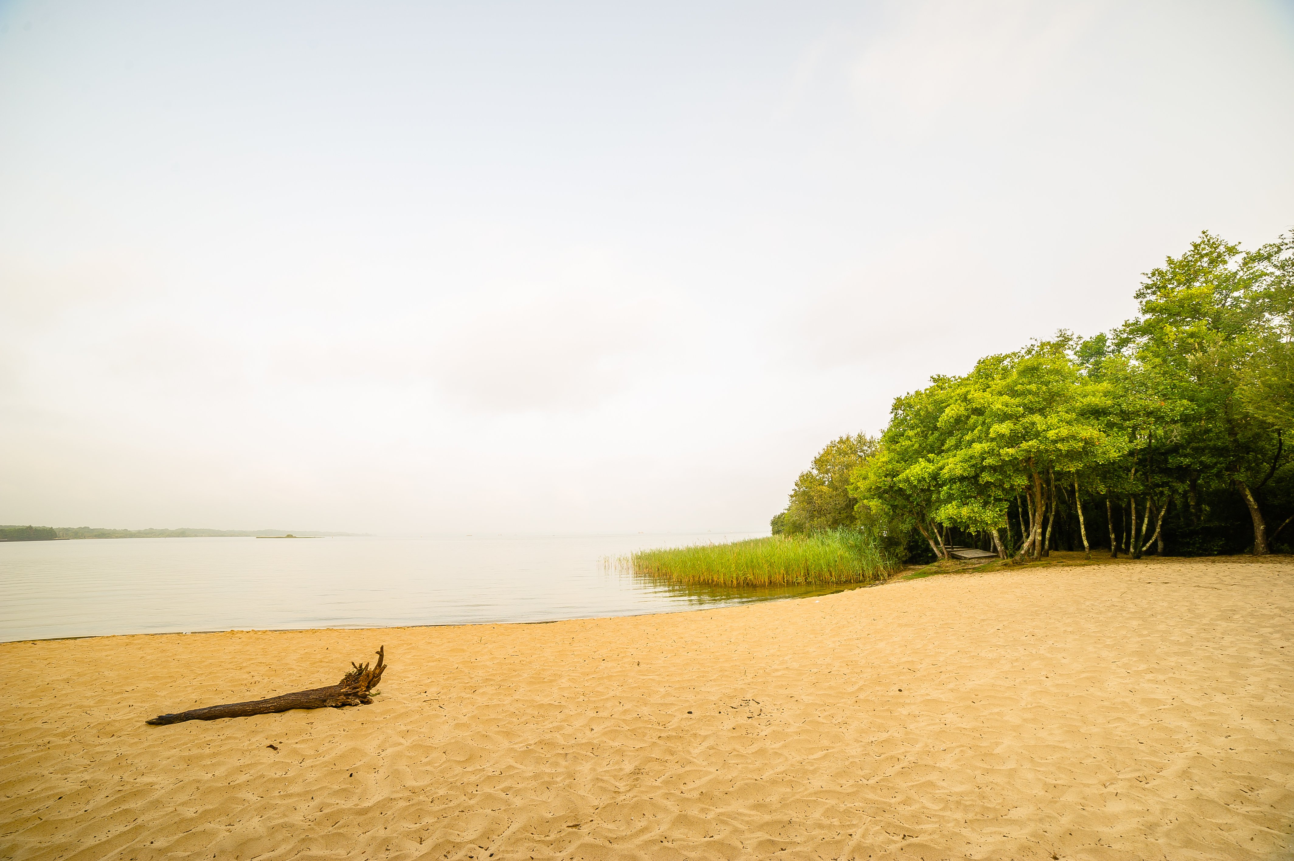 Camping La Forêt Lahitte, Parentis-en-Born - photo 17