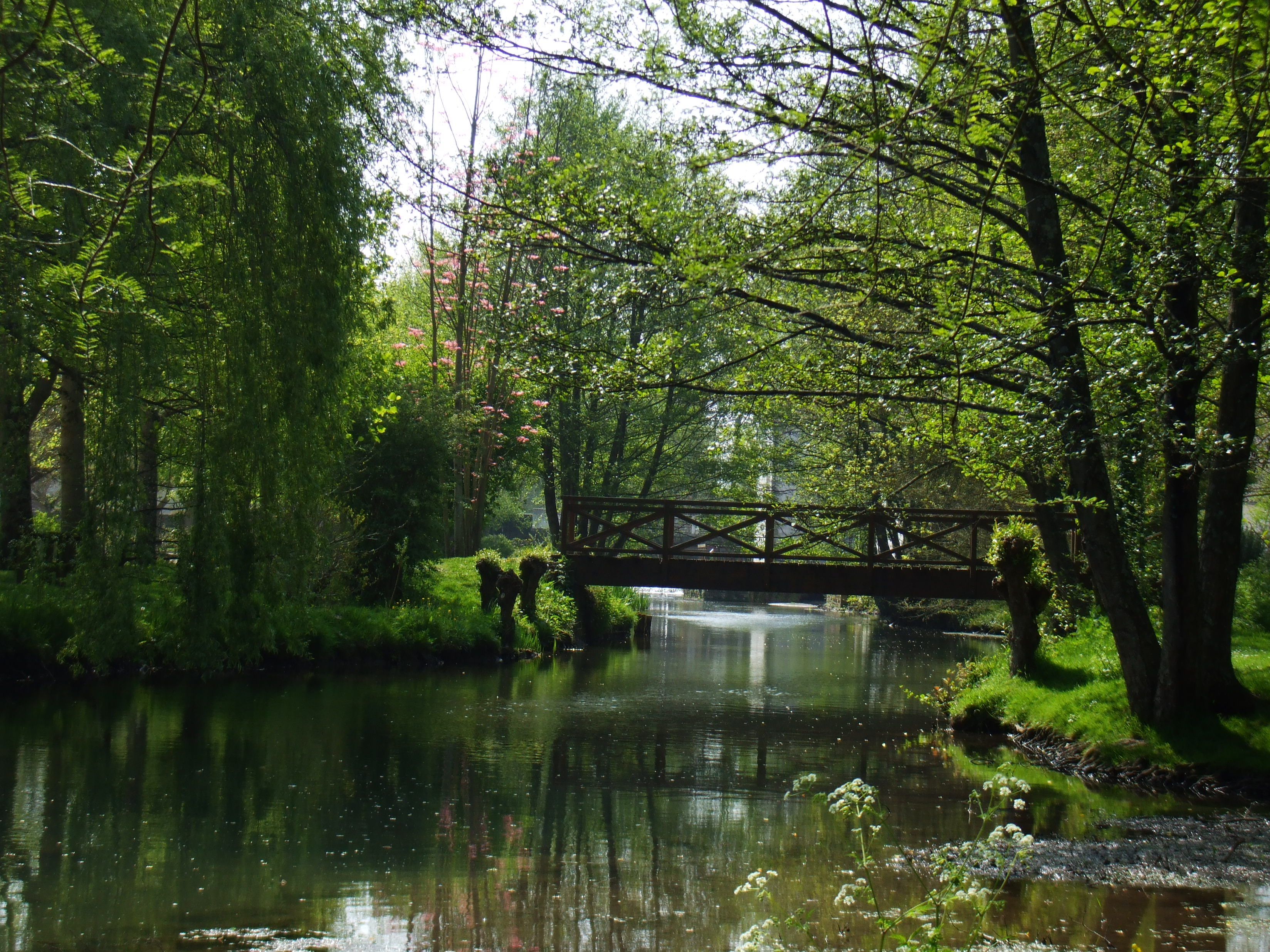 Le Moulin l'Abbé - Maison de la Haute Sèvre, La Mothe-Saint-Héray - photo 5