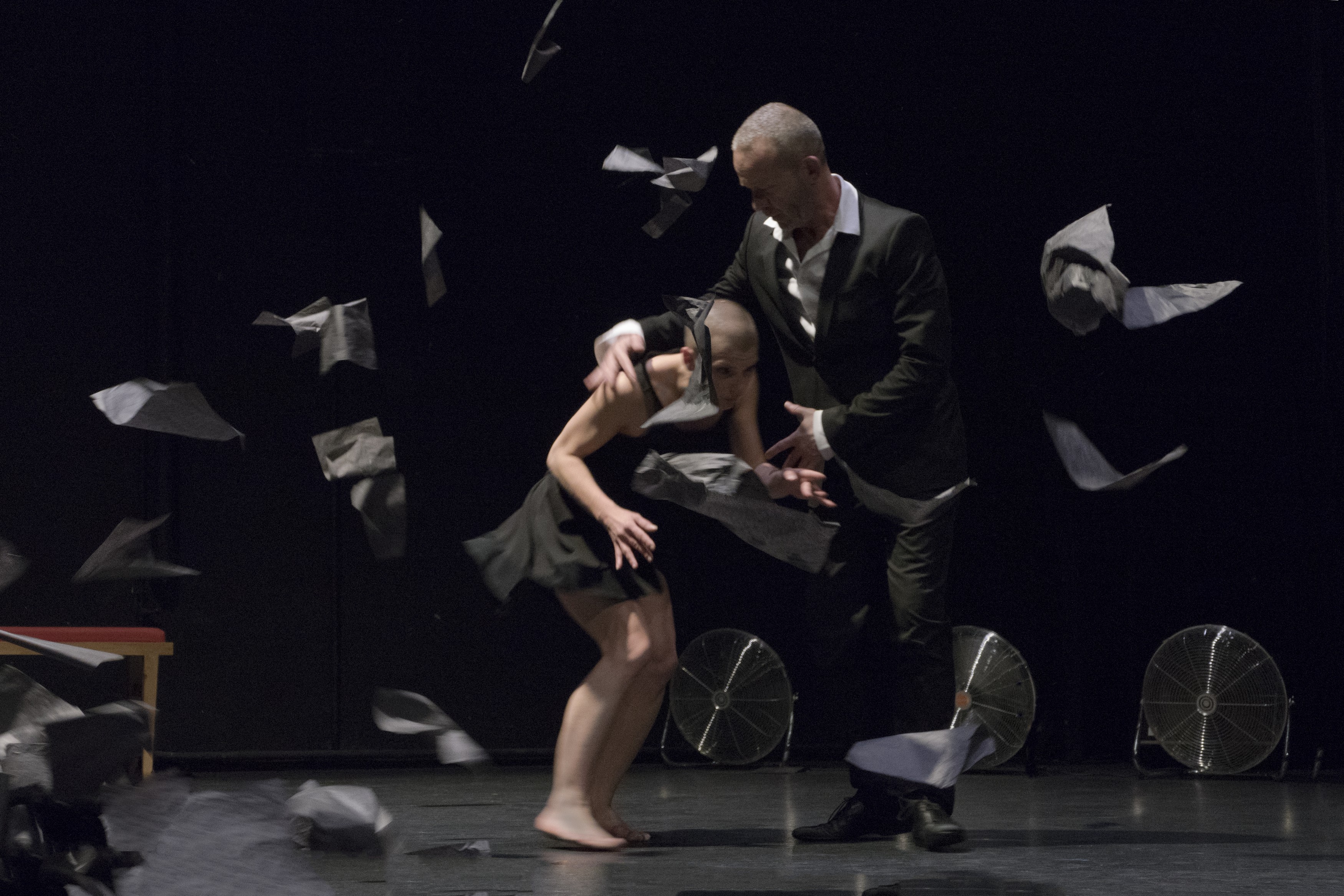 Scènes de Territoire, Bressuire - photo 11