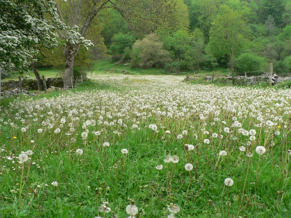 Aubin : chemin de l'Aubiosse
