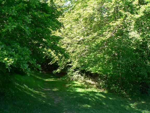 Montardon : les Marlères à VTT