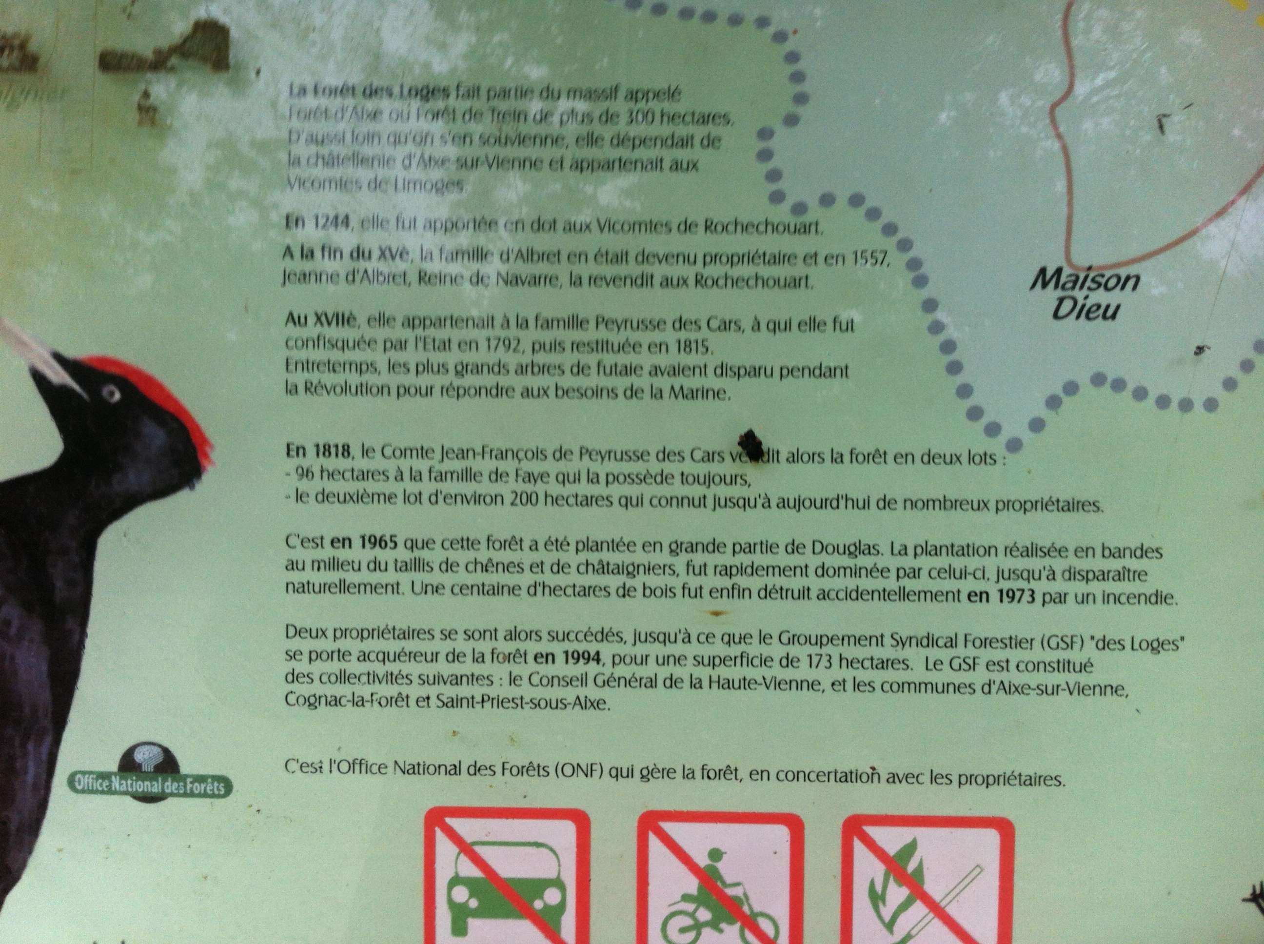 Tèrra Aventura : Logeons-nous dans les bois