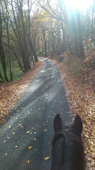 Boucle équestre du château de Peyraux - photo 3