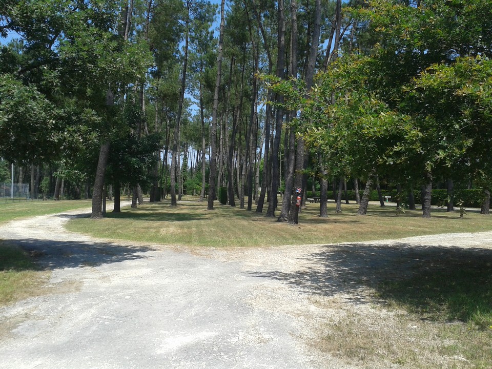 Aire de camping-cars Nauton, Roquefort - photo 5