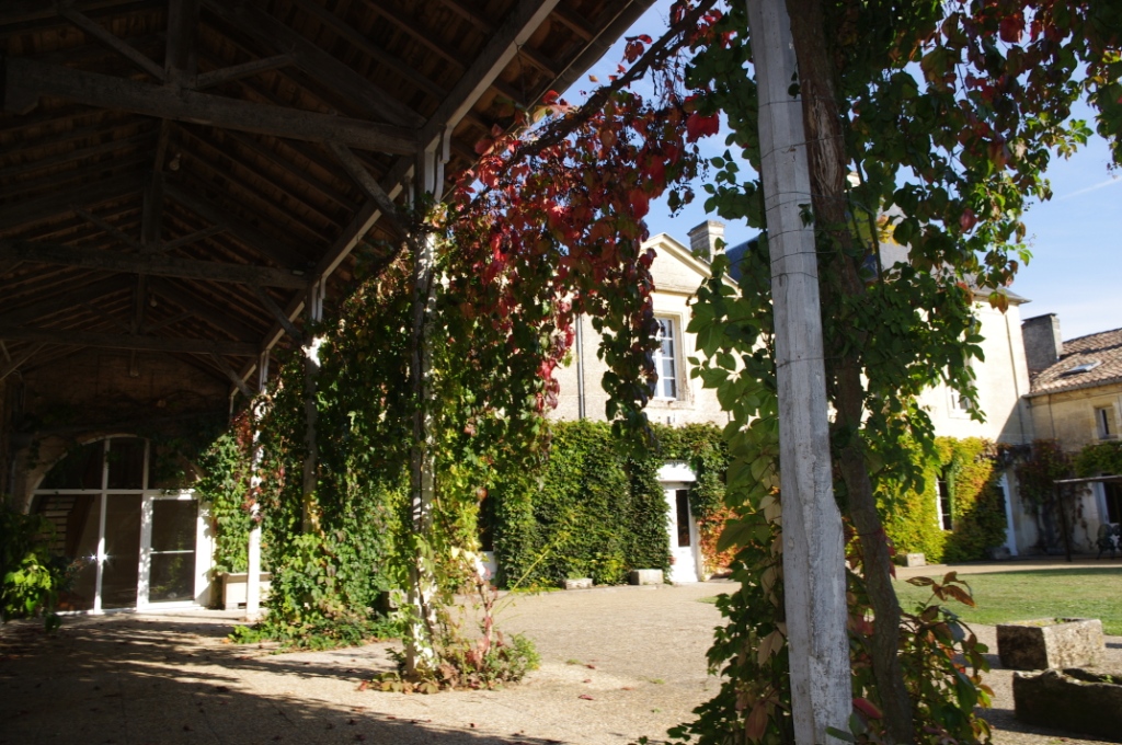 Château Fleur de Roques, Puisseguin - photo 4