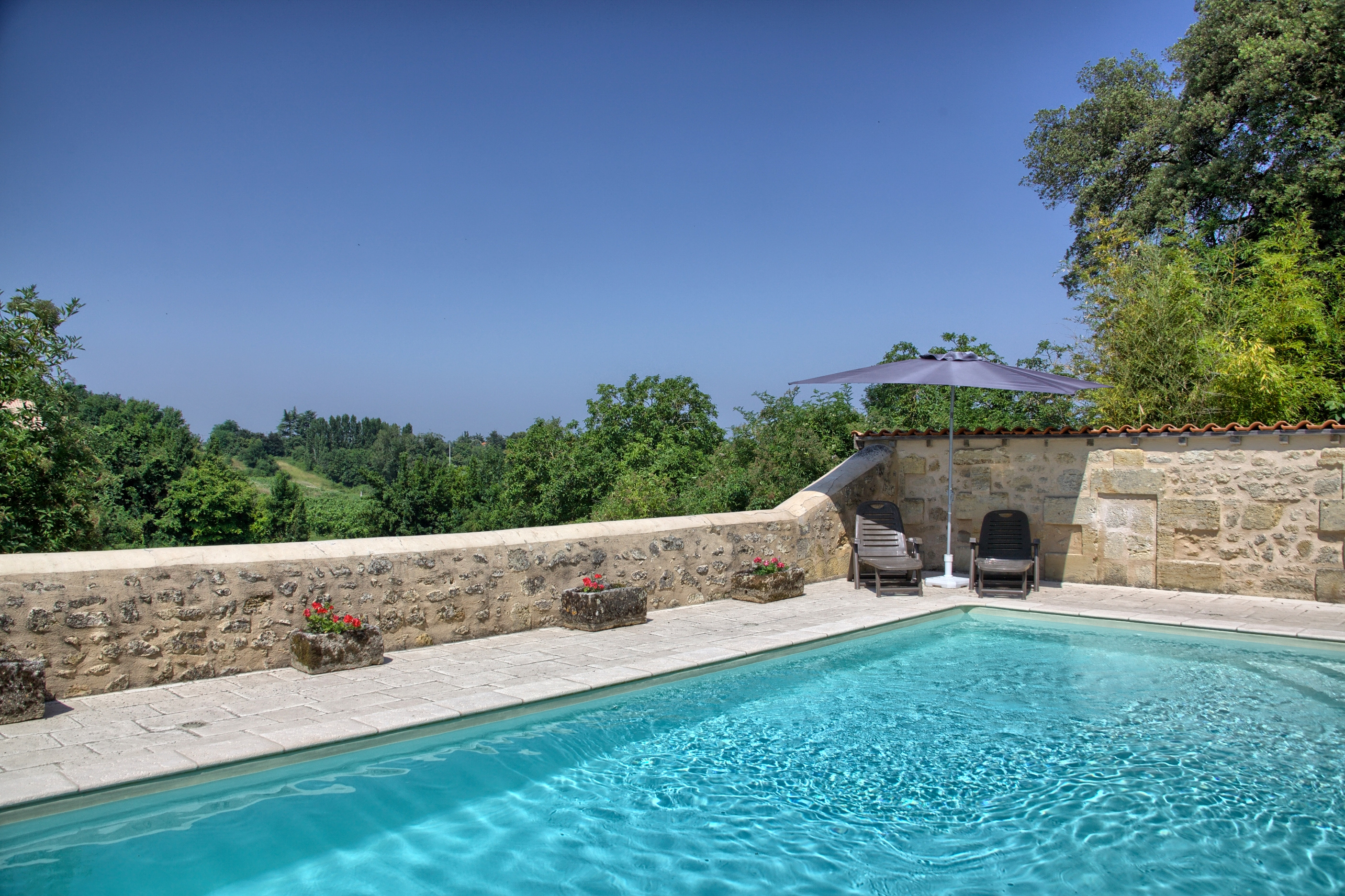 Château Fleur de Roques, Puisseguin - photo 16