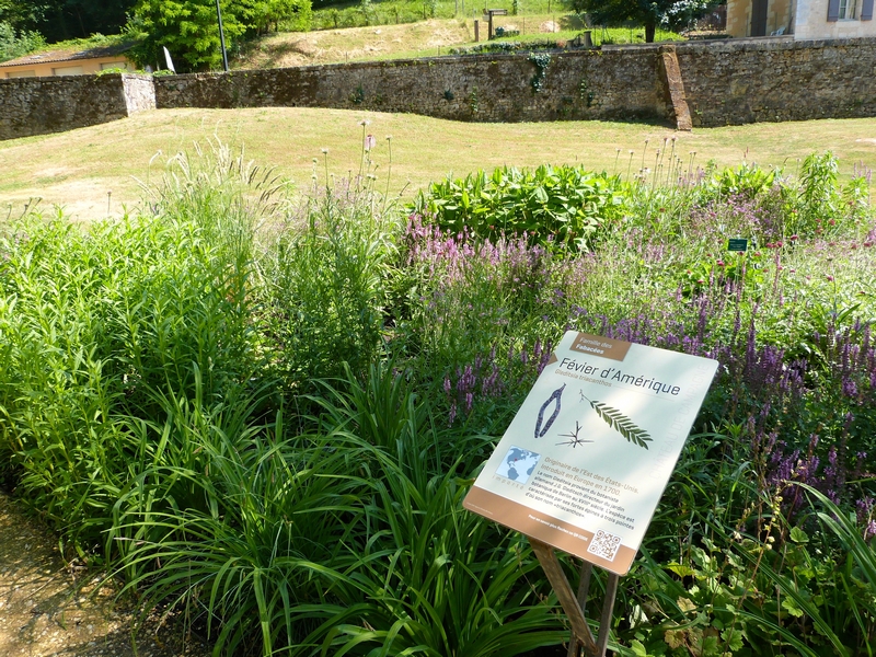 Parc du Château de Campagne, Campagne - photo 3