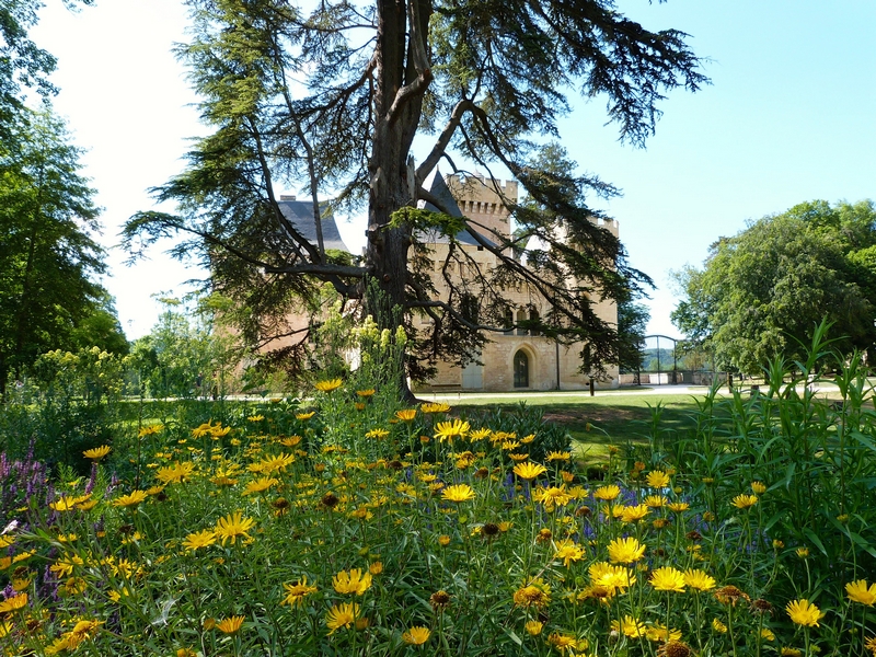 Parc du Château de Campagne, Campagne - photo 11