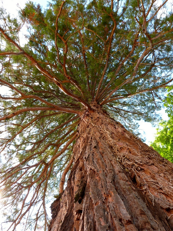 Parc du Château de Campagne, Campagne - photo 2