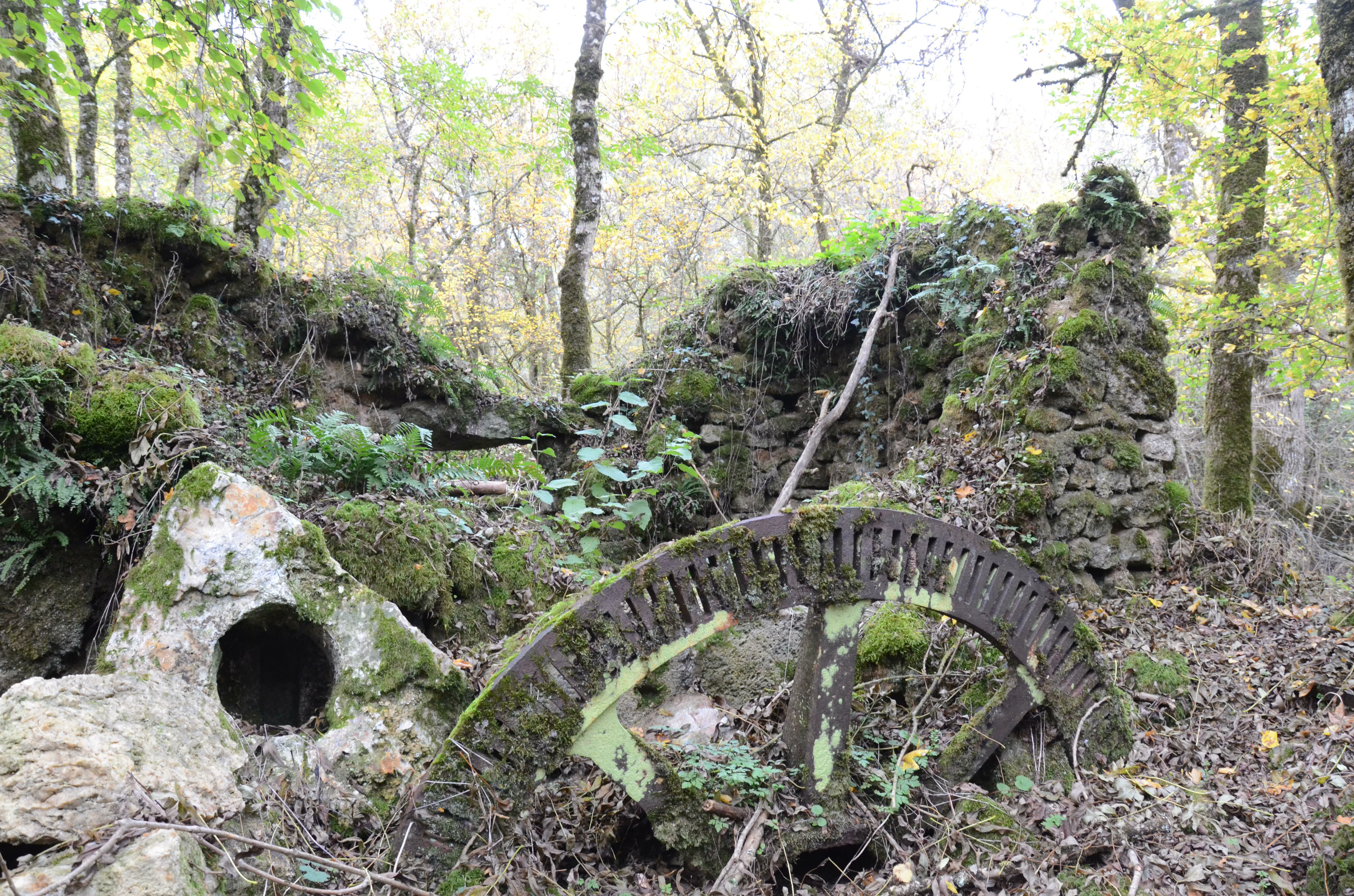 Etang de Bois Pouvreau