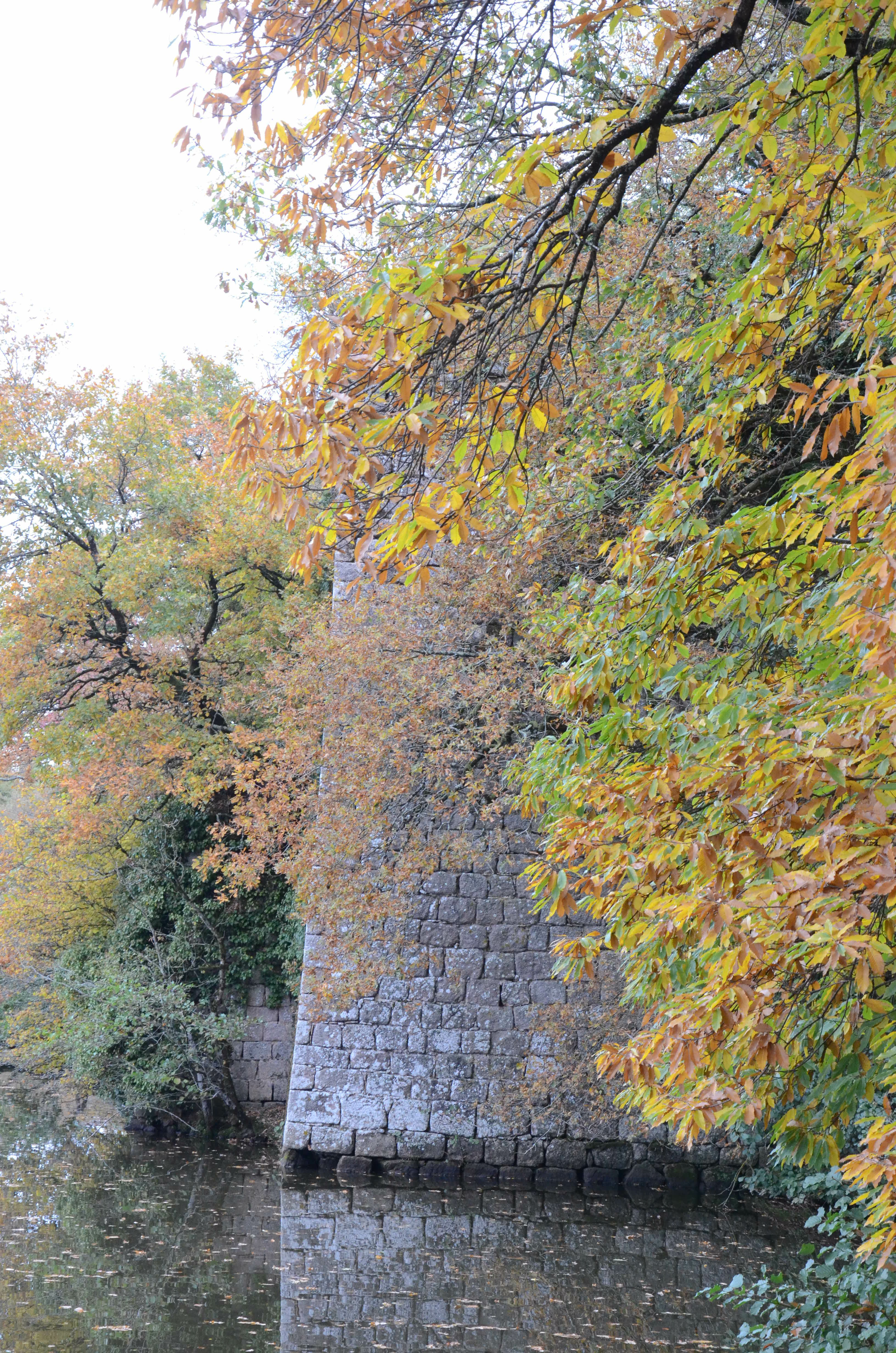 Etang du Bois Pouvreau, Ménigoute - photo 6
