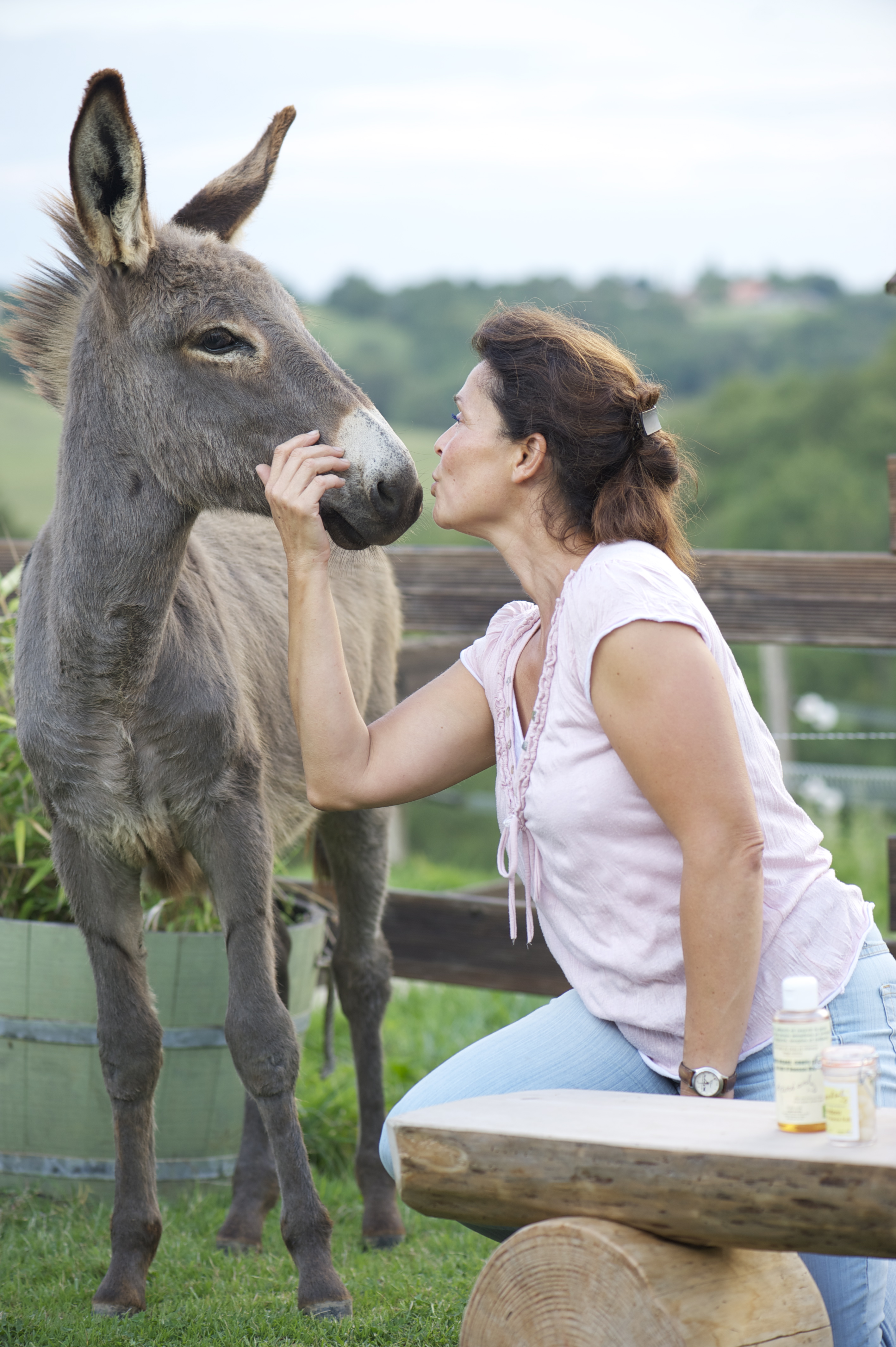 Ferme Découverte Turs'Ane