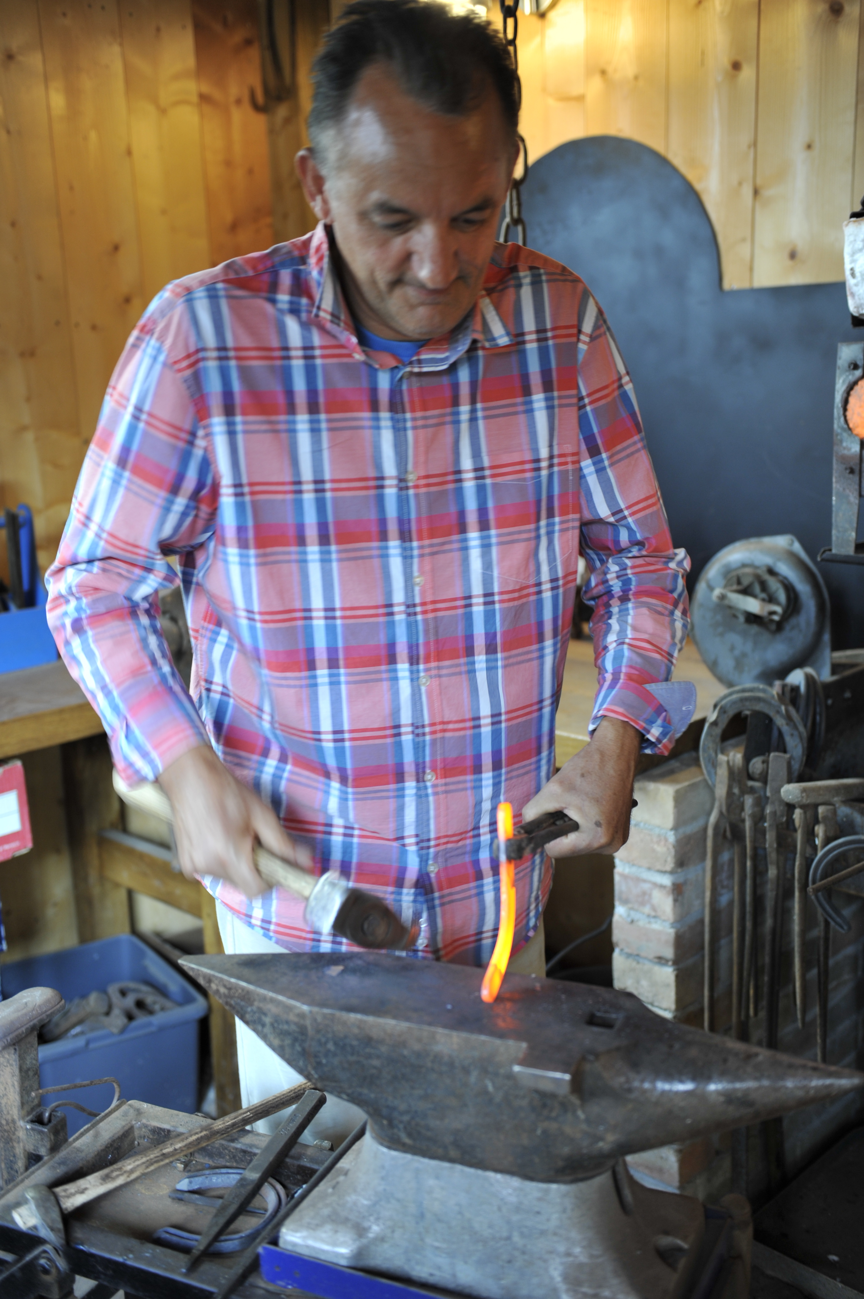 Ferme Découverte Turs'Ane, Castelnau-Tursan - photo 6