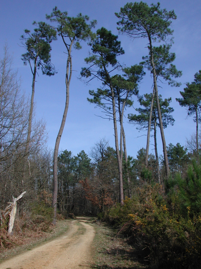 Paulhiac, un rendez-vous avec la nature, Paulhiac - photo 2