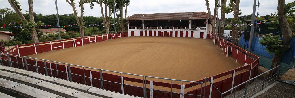 Arènes et monument Paul Daverat