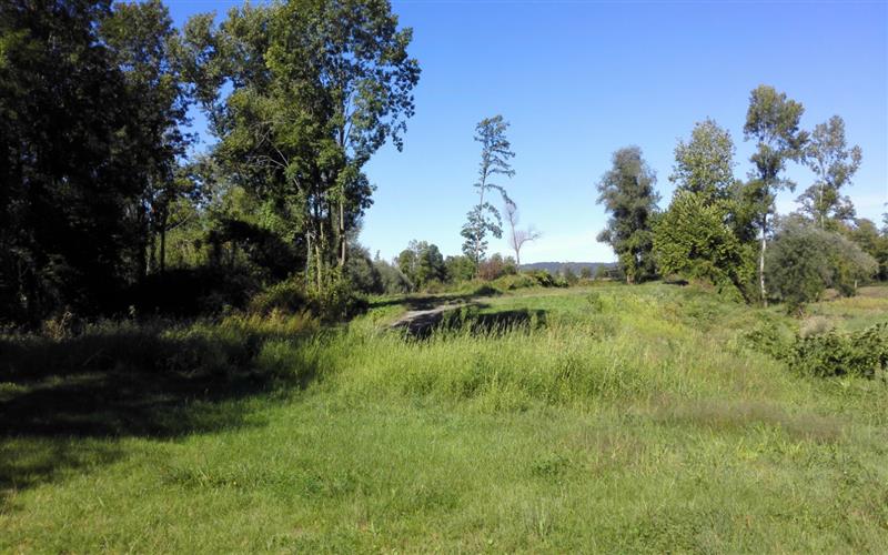Circuit vélo 2 : boucle de la plaine du Gave et du Lagoin
