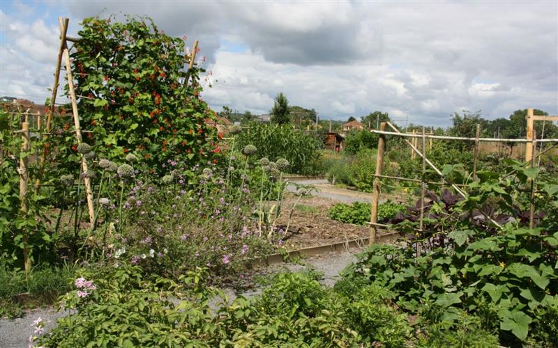 Conservatoire des Légumes Anciens du Béarn