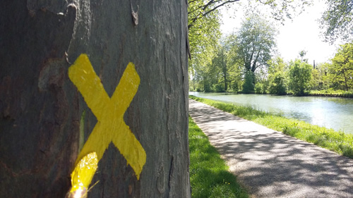Boé Village, entre Garonne, canal et lacs, Boé - photo 5
