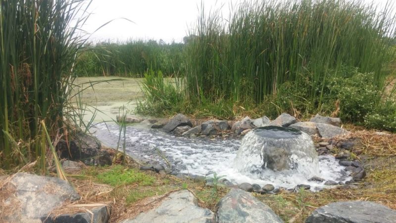  20160604_112915_ZoneLibellule-1024x576-1-1024x576 