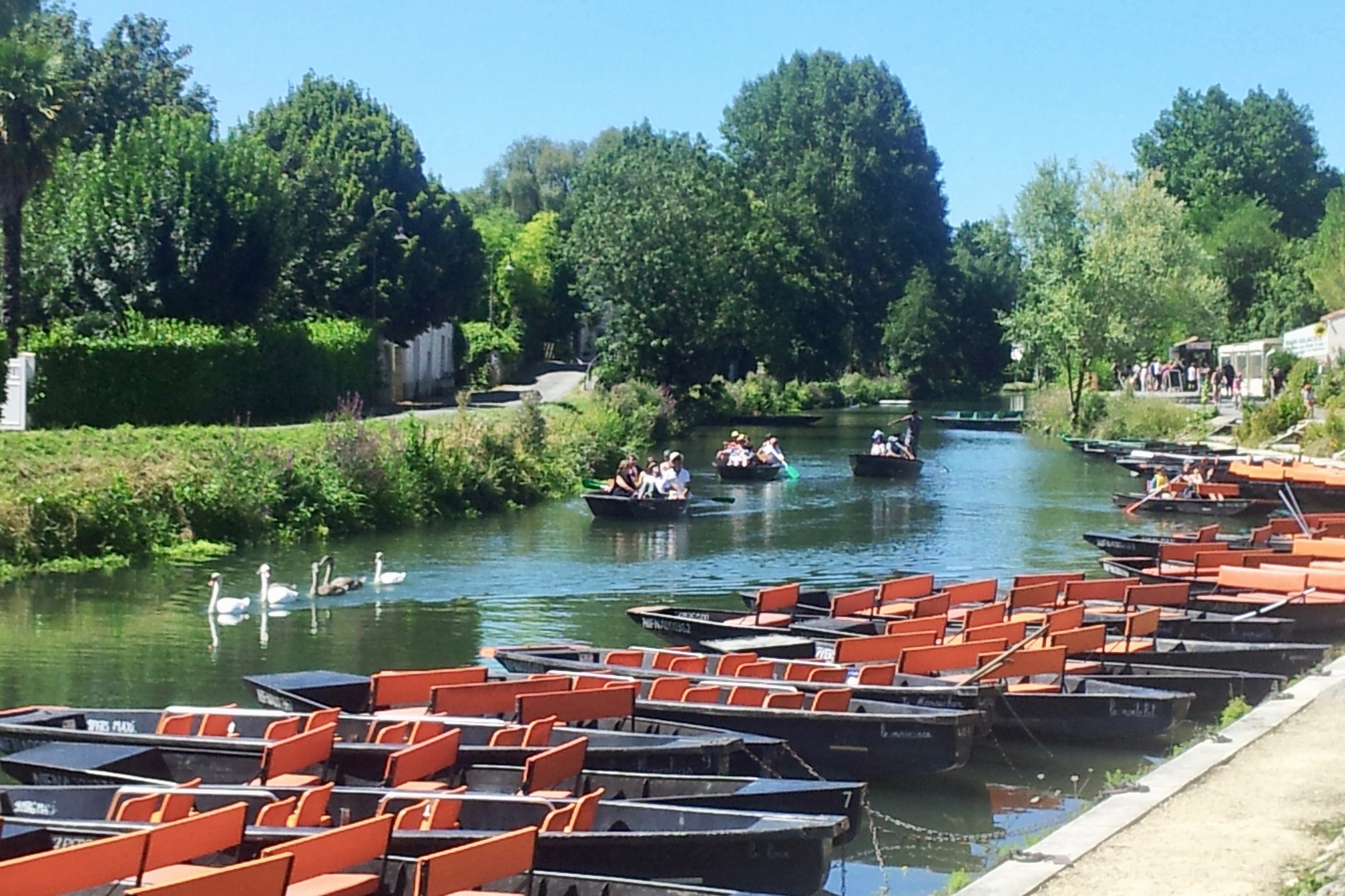 Gîte du Port aux Moules, Coulon - photo 7