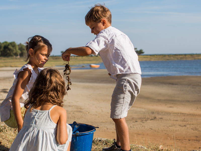 Les Pistes de Robin : jeu découverte du Domaine de Graveyron, Audenge