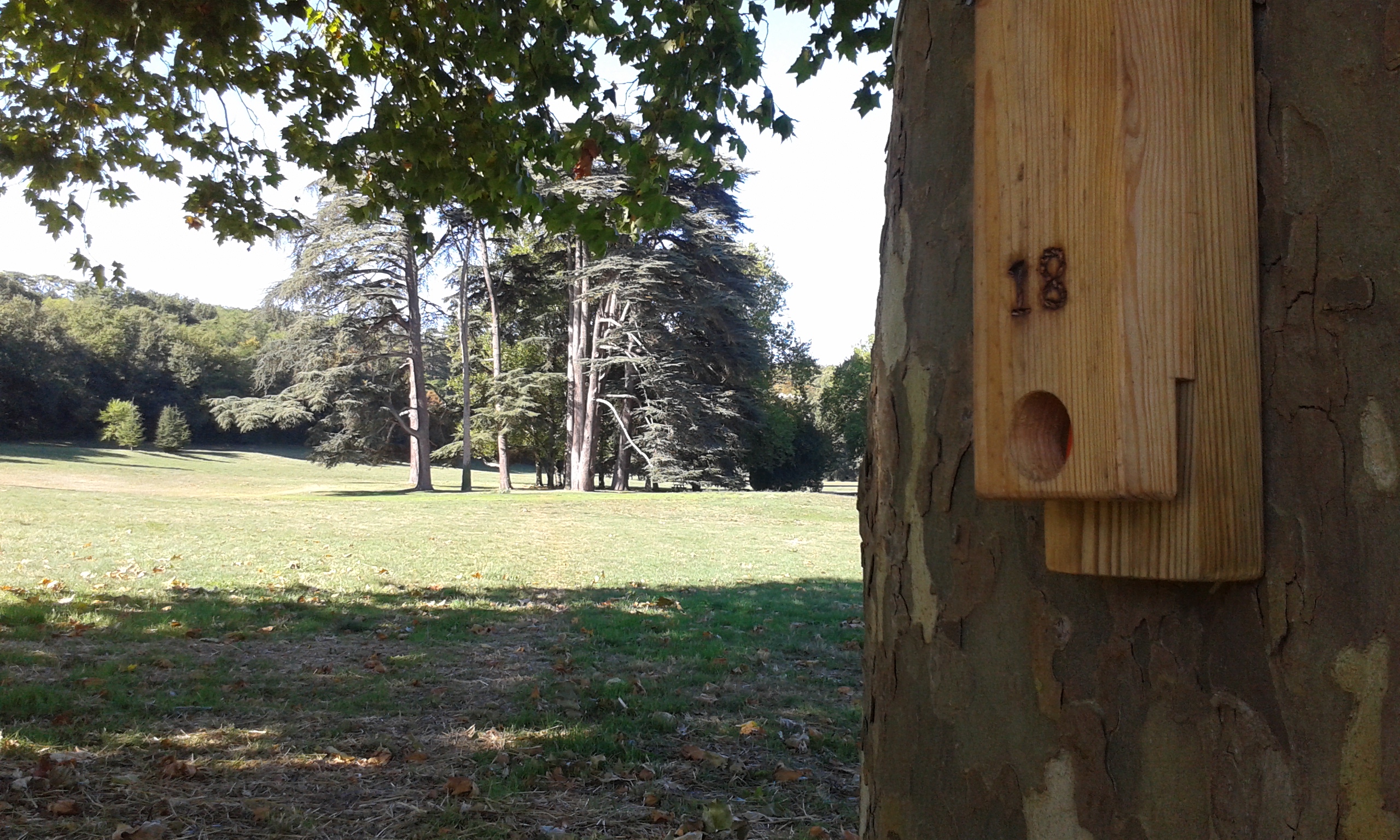 Parcours d'orientation à la prairie de Soulièvres