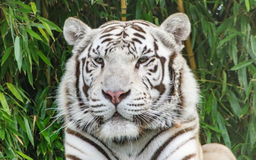 Image de présentation du lieu