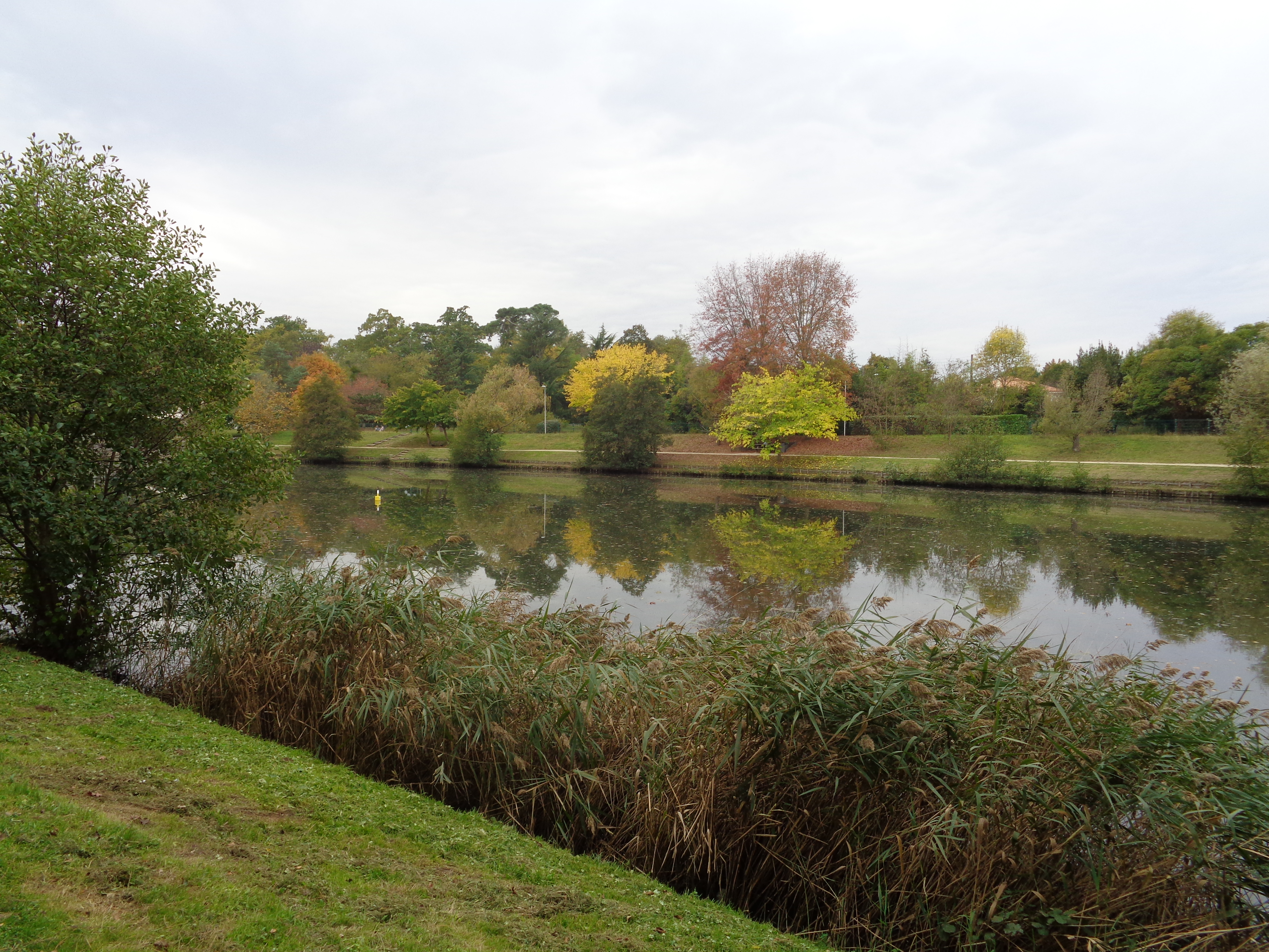 Balade à roulettes : Parc de Fontaudin
