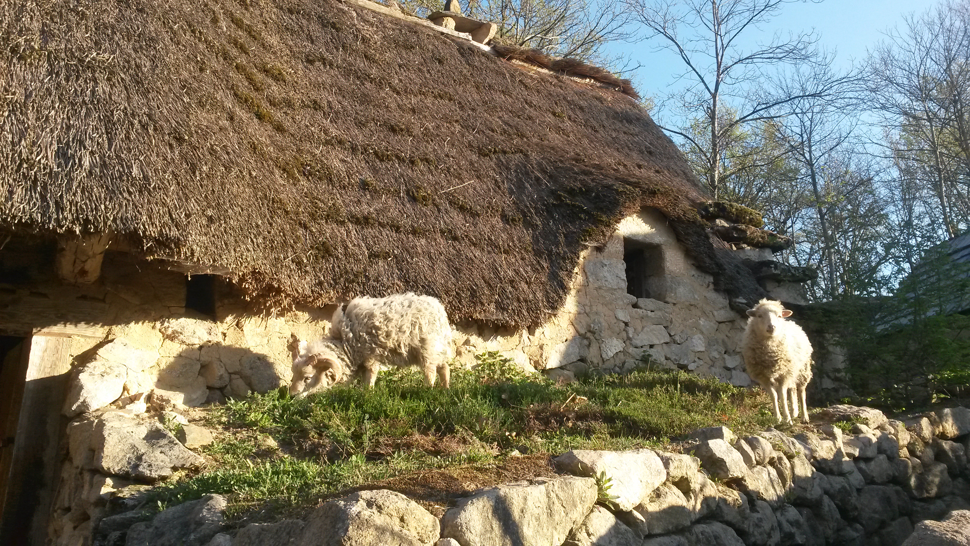 Circuit vélo et fromages en Xaintrie Blanche, Servières-le-Château - photo 3