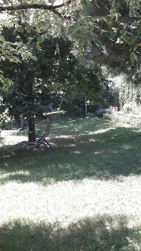 Les Mésanges Bleues