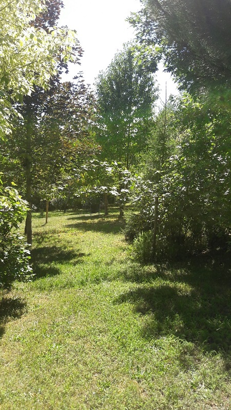 Les Mésanges Bleues, Valojoulx - photo 14