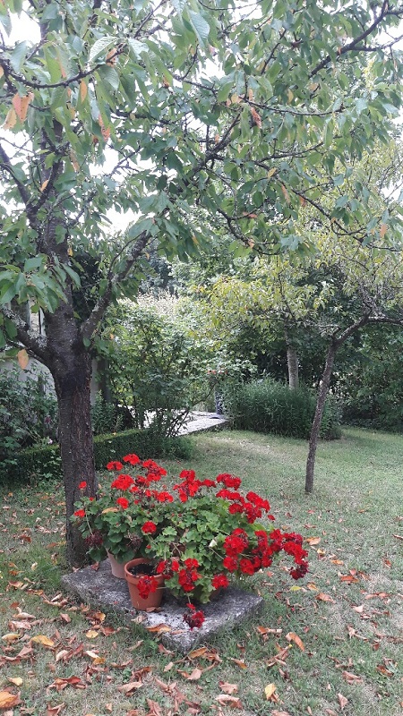 Les Mésanges Bleues, Valojoulx - photo 6