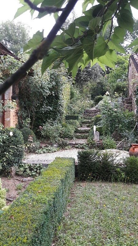 Les Mésanges Bleues - photo 3