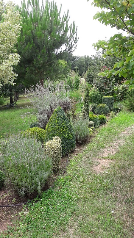 Les Mésanges Bleues, Valojoulx - photo 11