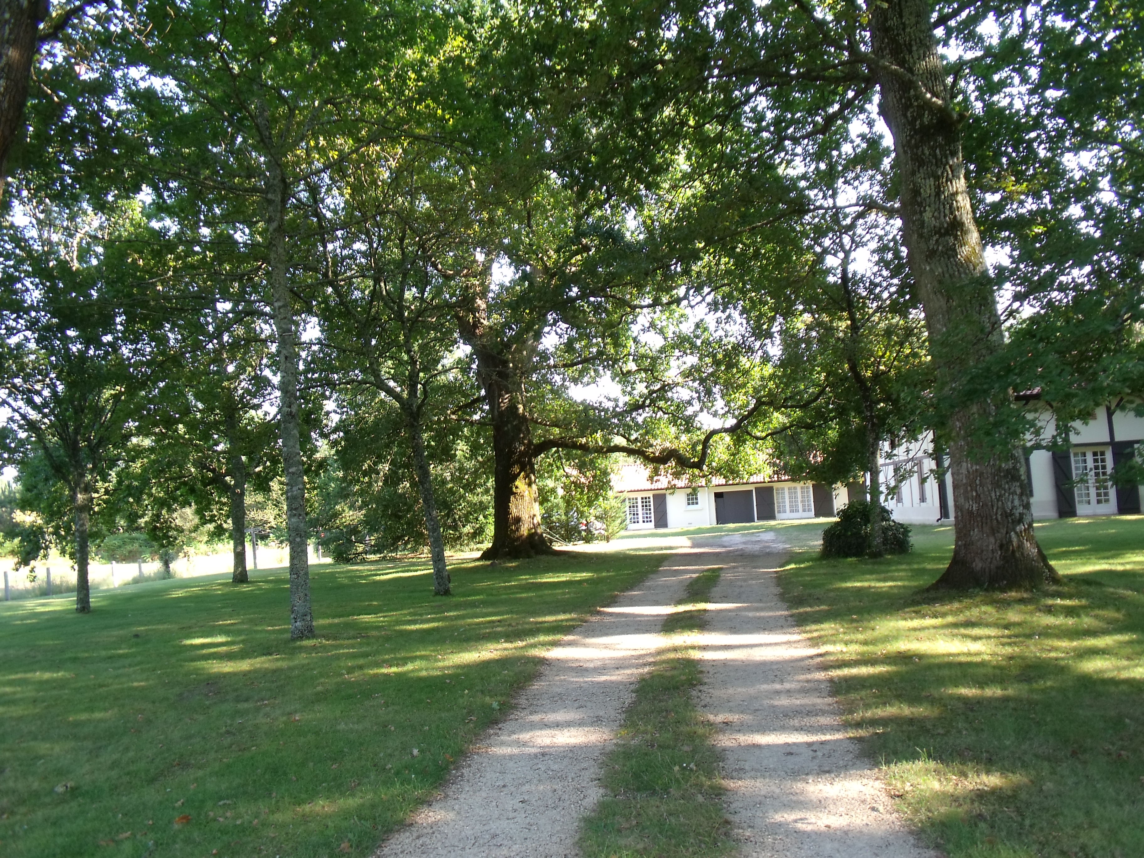 Larrieu Marc - photo 5